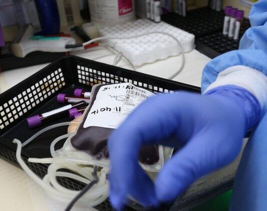 donation-5053769_1280