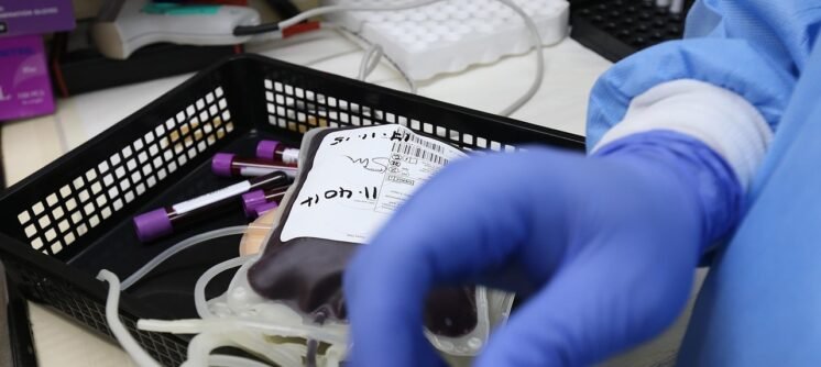 donation-5053769_1280